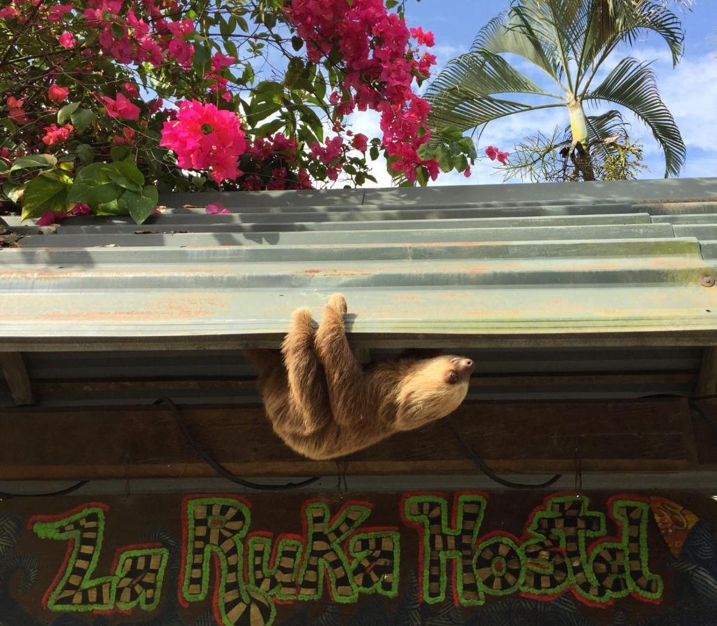 La Ruka Hostel Puerto Viejo de Talamanca 외부 사진