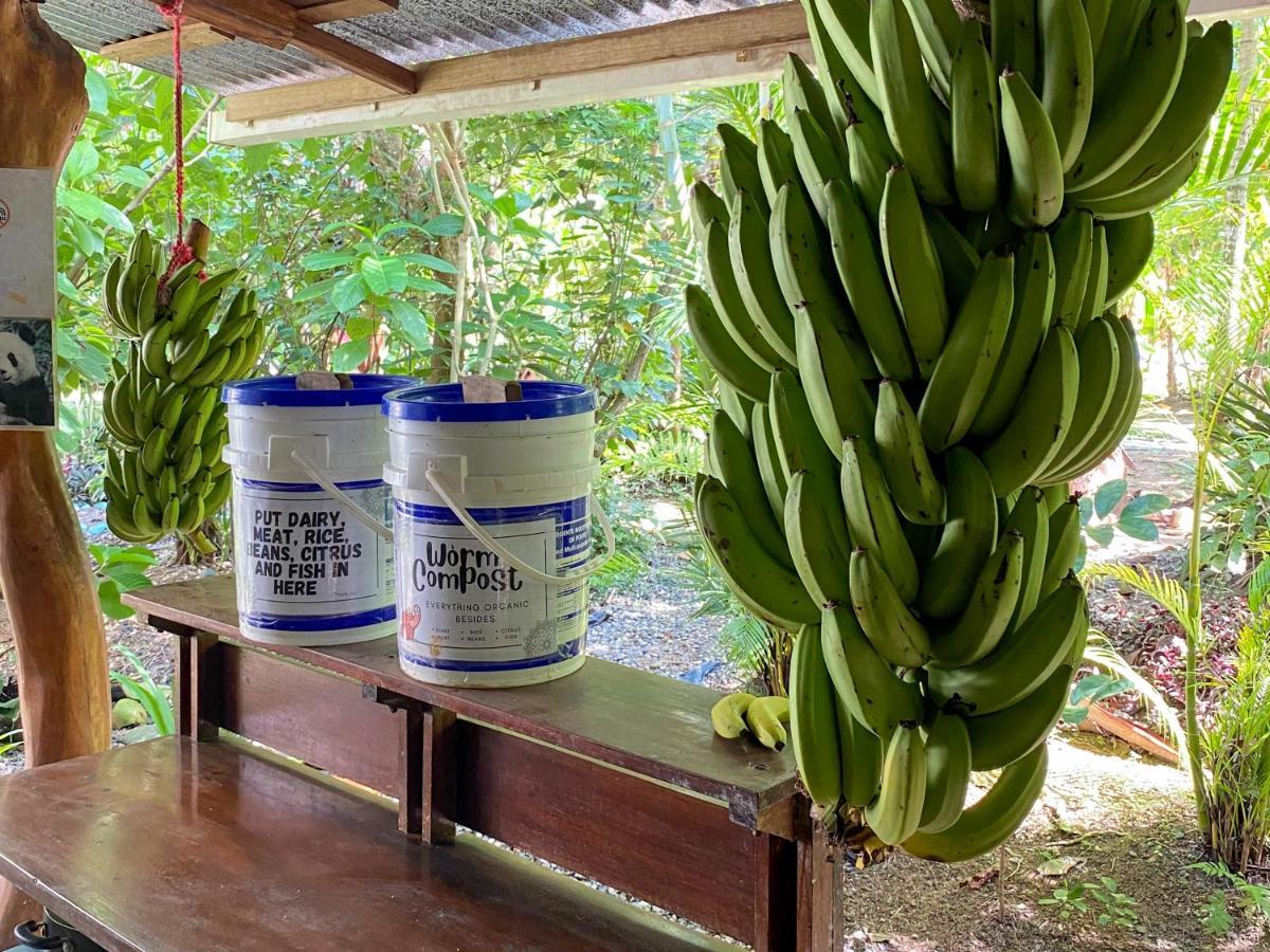 La Ruka Hostel Puerto Viejo de Talamanca 외부 사진