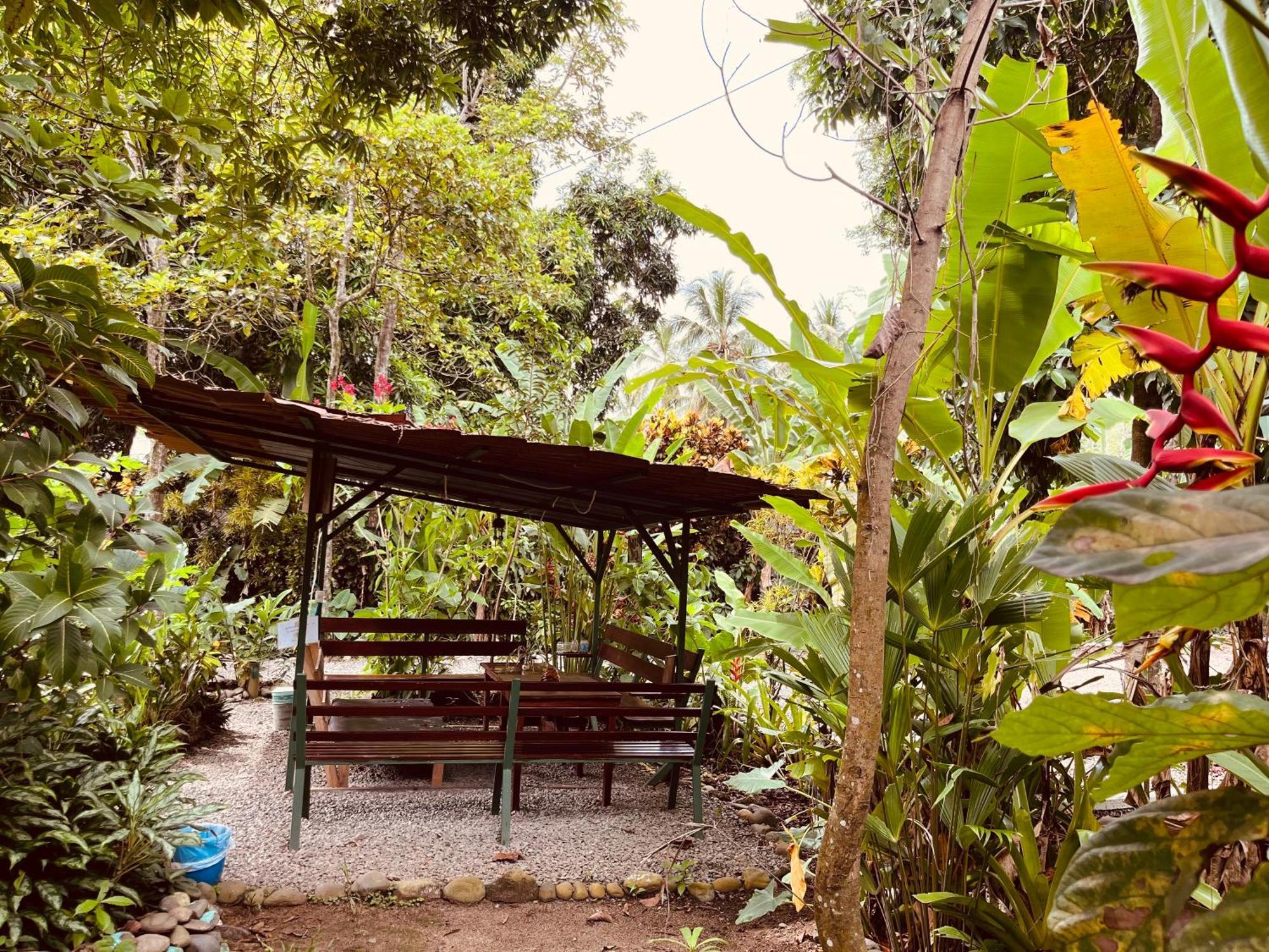 La Ruka Hostel Puerto Viejo de Talamanca 외부 사진