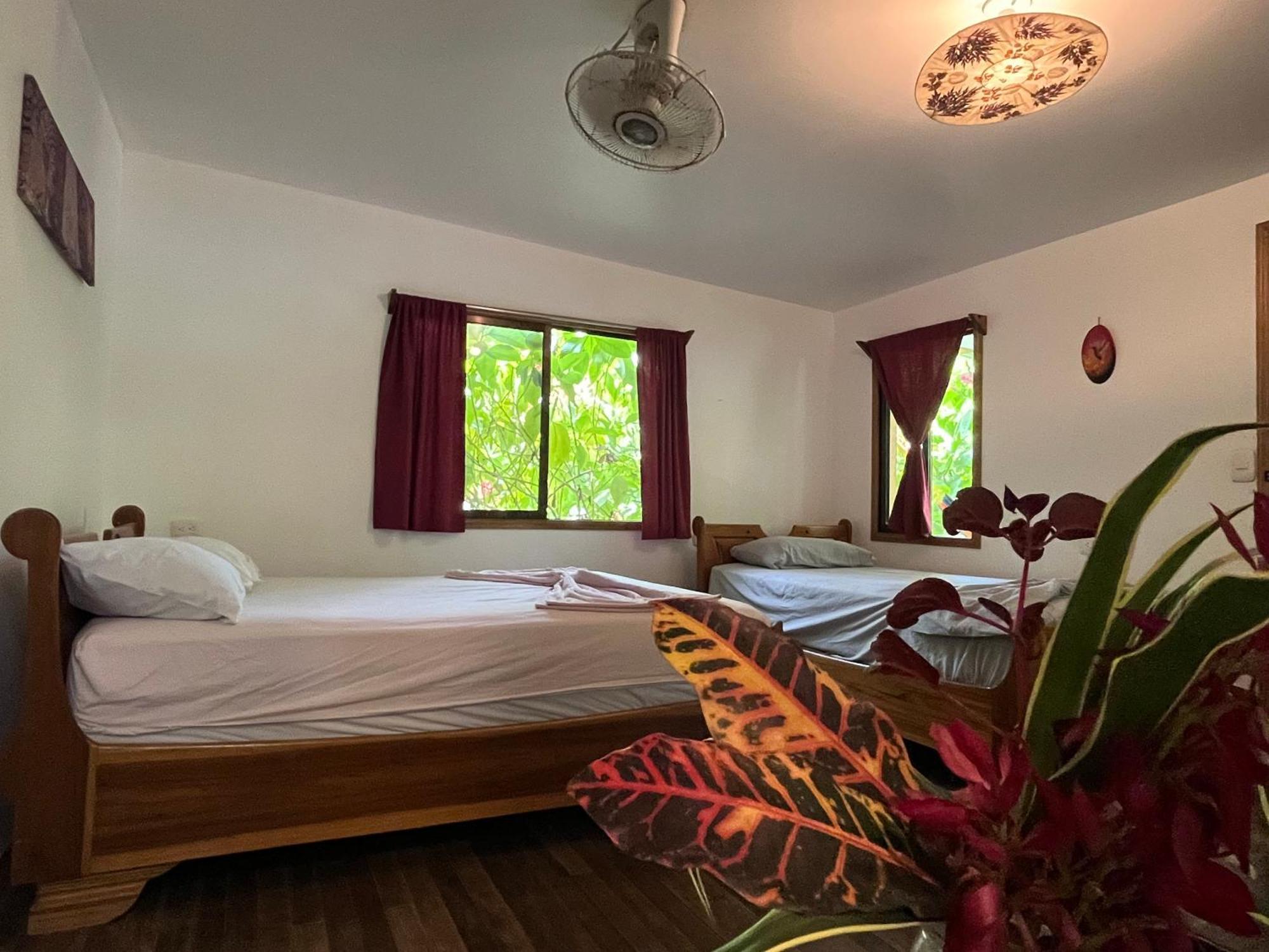 La Ruka Hostel Puerto Viejo de Talamanca 외부 사진