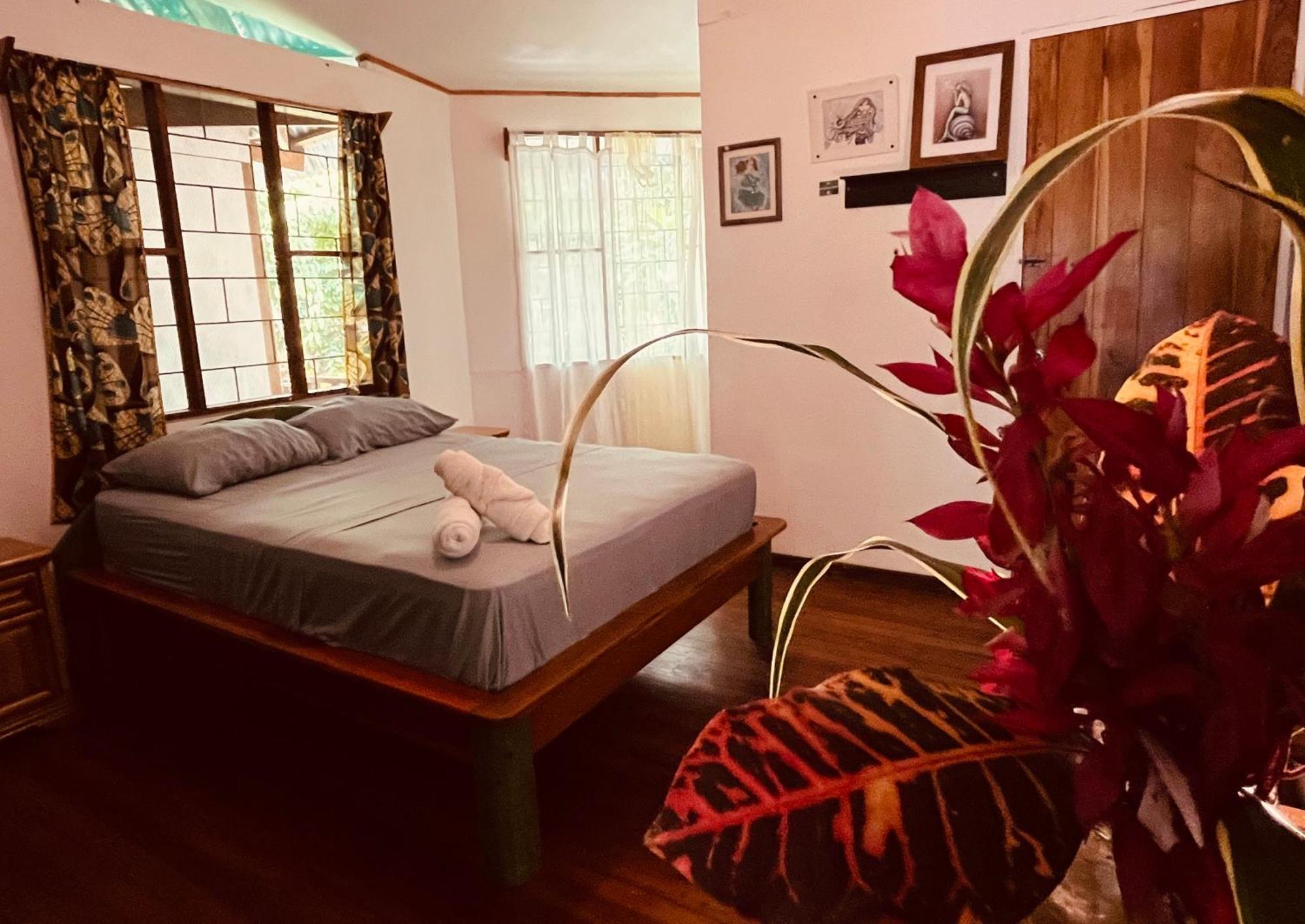 La Ruka Hostel Puerto Viejo de Talamanca 외부 사진
